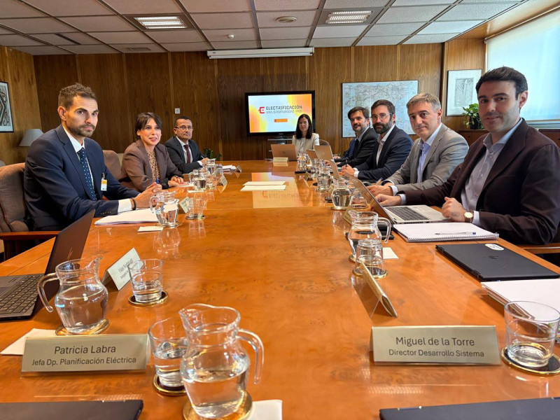 Reunión de Lorenzana en Madrid con el secretario de Estado y responsables de Red Eléctrica Española