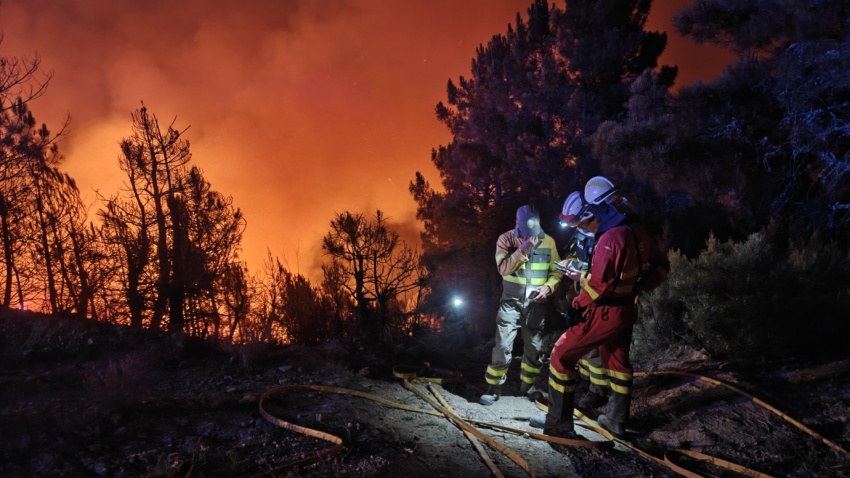 Incendio en El Bierzo (León) este verano