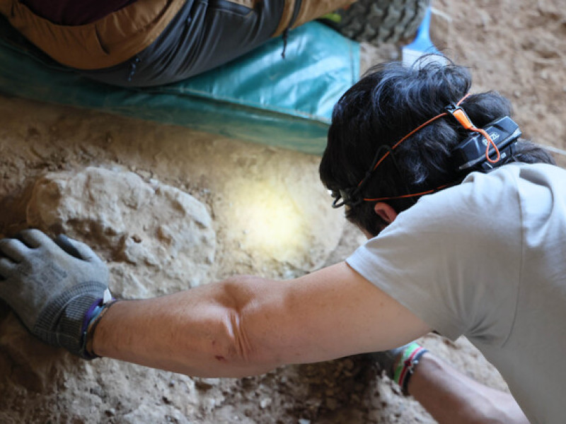 Excavación de Tamajón