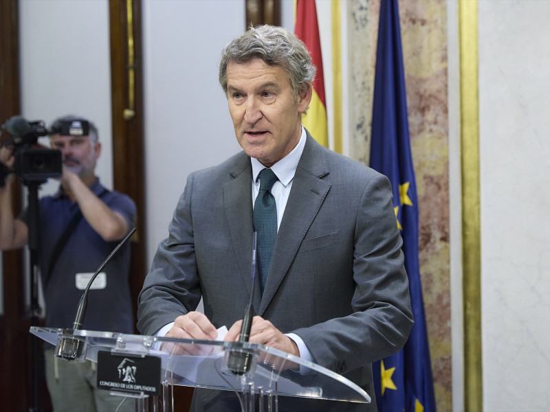 El presidente del PP, Alberto Núñez Feijóo, durante una rueda de prensa en el Congreso de los Diputados