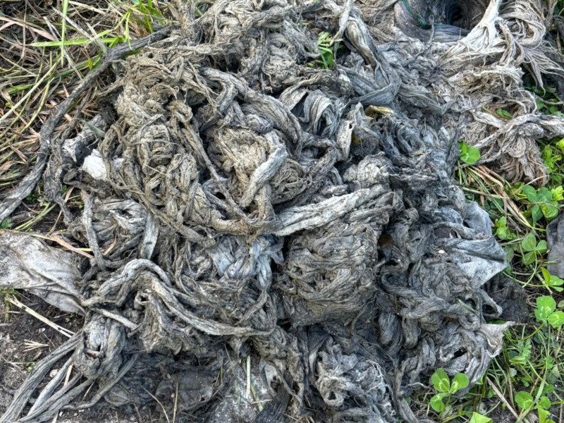 Atasco en la red de saneamiento de Valga