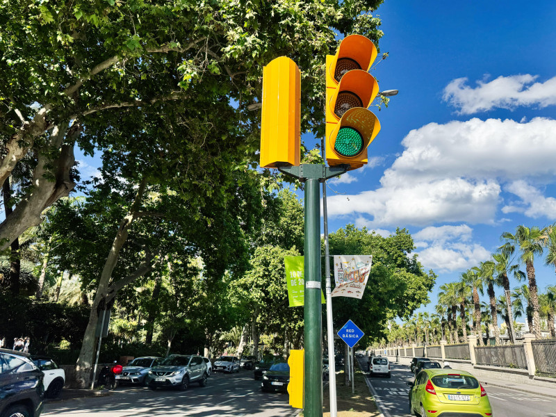 Una luz verde brilla en una calle soleada de Málaga con frondosos árboles verdes.