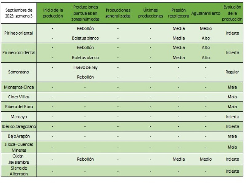 Previsiones para esta temporada de recogida de setas.