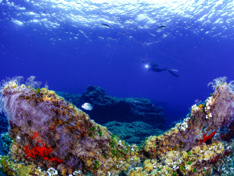 Buceo en la Región de Murcia