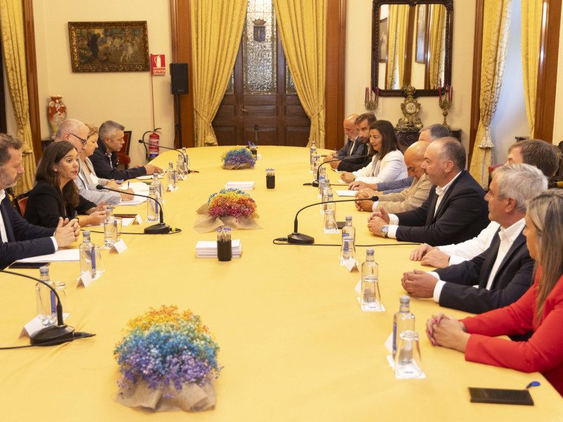 Reunión de alcaldes de la comarca de A Coruña para buscar la coordinación de los aeropuertos