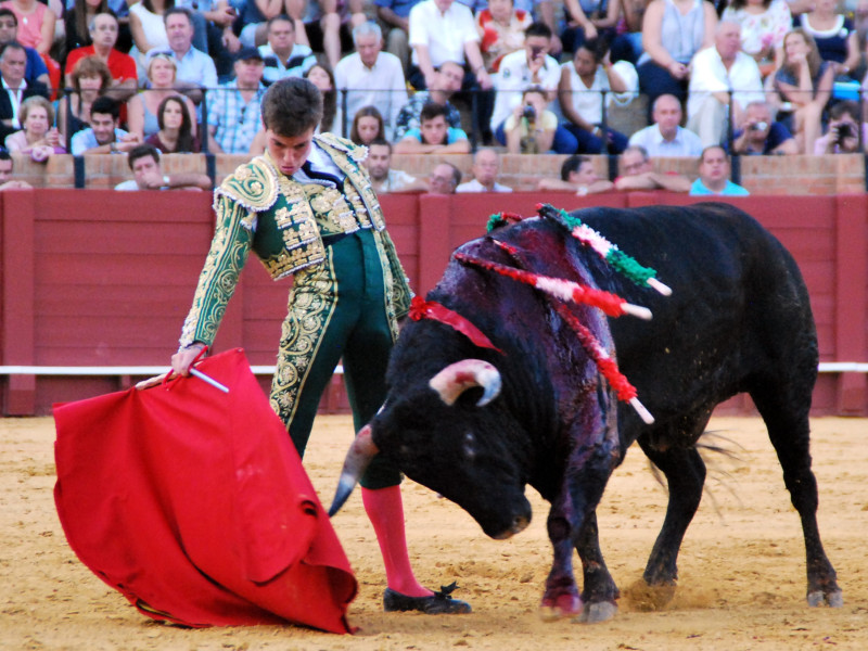 Tomás Angulo, en la plaza de toros de Almendralejo