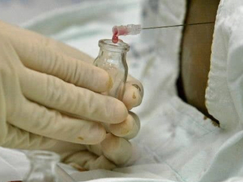 Leucemia