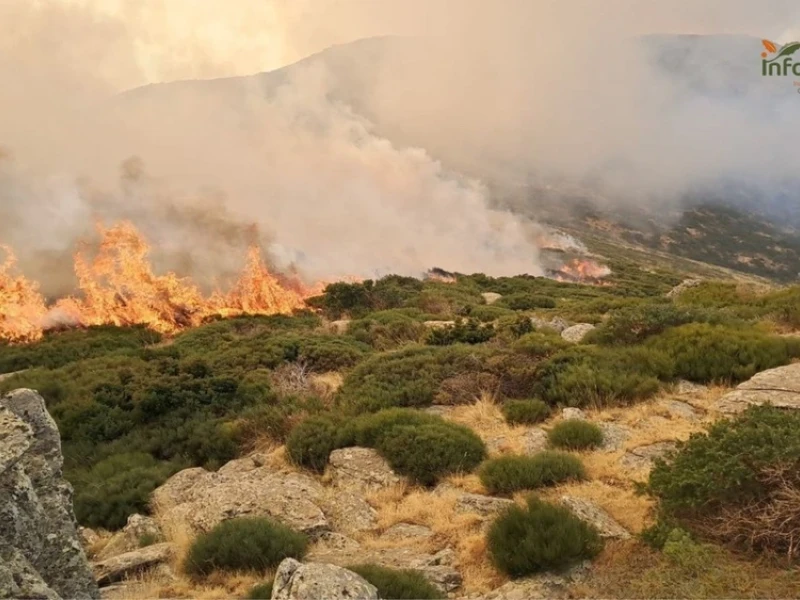 El fuego desbocado en Peñalba de la Sierra