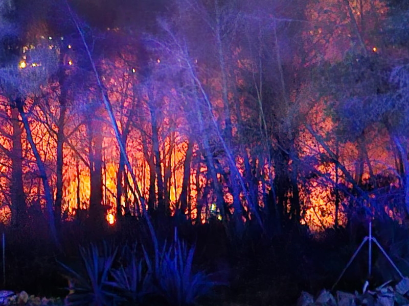 Las llamas, visibles desde varios puntos del entorno, afectaron principalmente a terreno forestal sin poner en riesgo viviendas