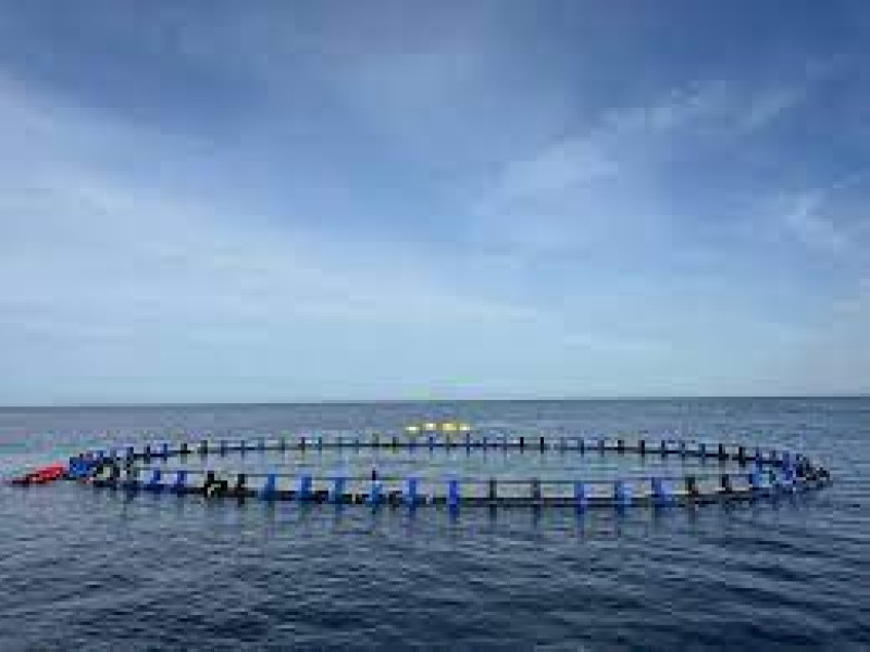 Proyecto pionero en ensayo en aguas cantábricas