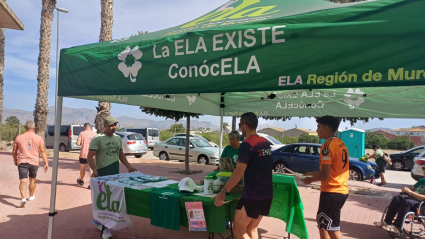 ELA-conocELA