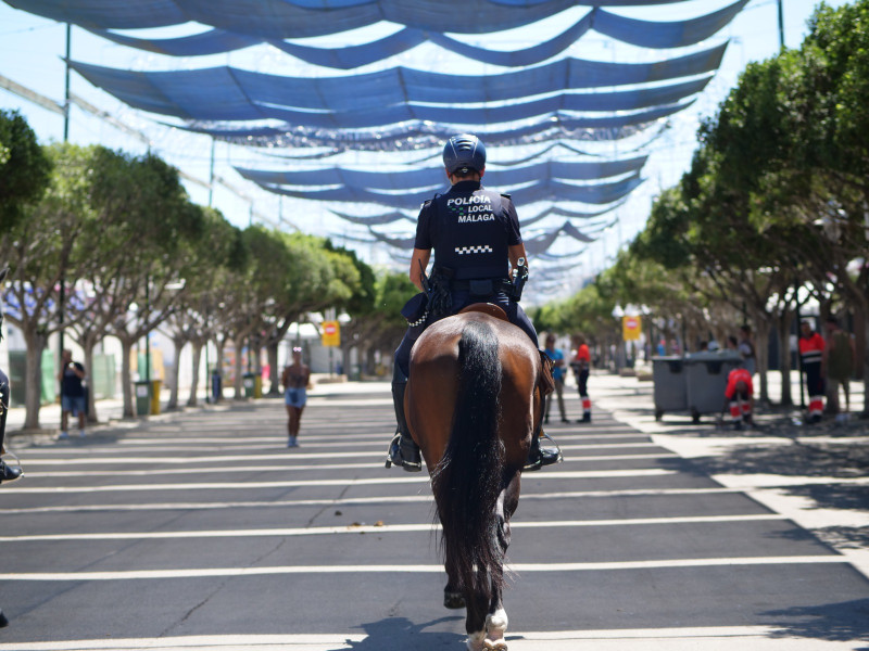 Así debe ser un caballo policía: nobleza, resistencia y capacidad para mantener la calma en plena ciudad