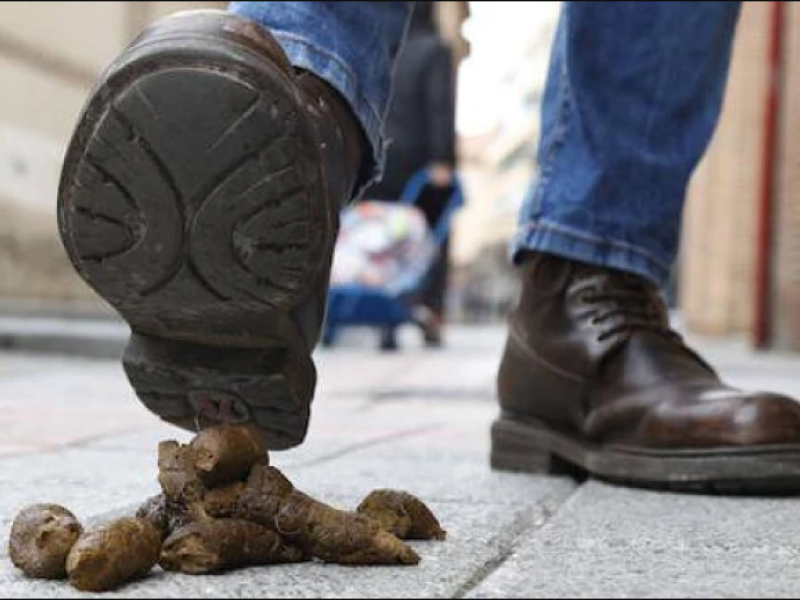 Problemas de higiene y convivencia por la falta de responsabilidad y civismo de algunos propietarios