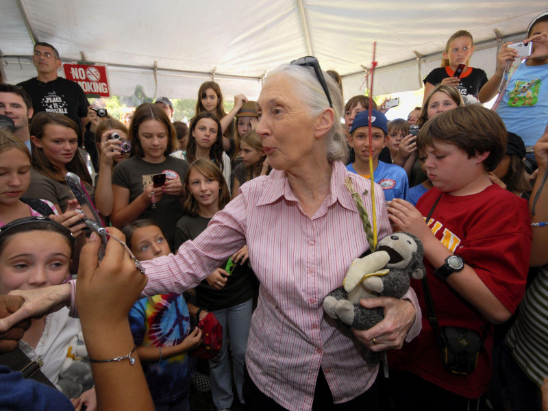 Jane Goodall