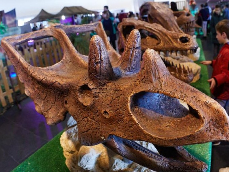 Exposición 'Criaturas Jurásicas'
