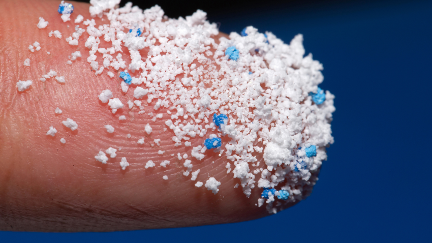 Microplásticos, gripe aviar e inmunoterapia, a debate en las IV Jornadas One Health de Cáceres