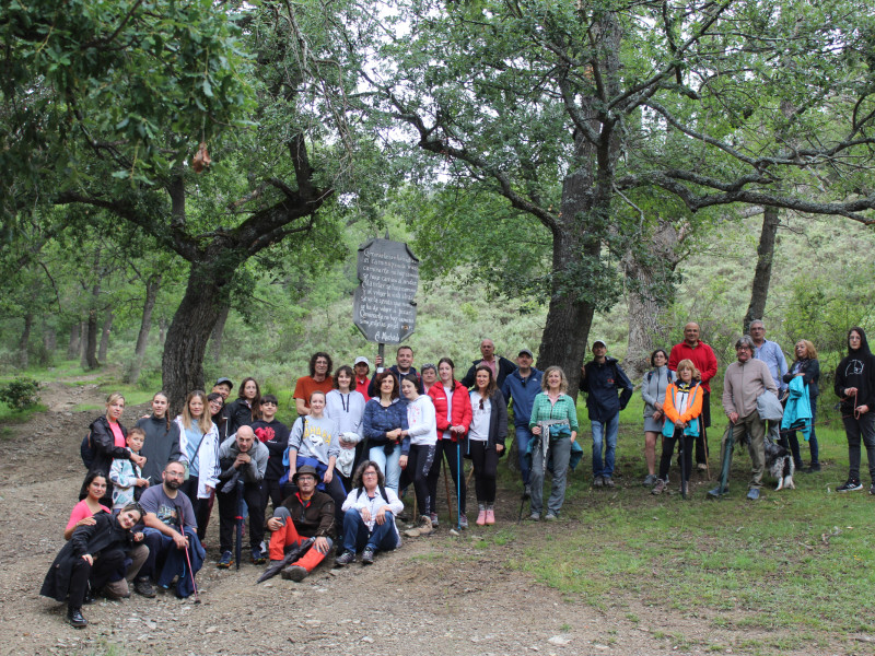 Intervención artística y respetuosa en el medio ambiente de San Román