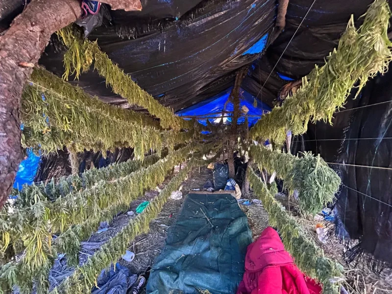 Una de las construcciones de la plantación de marihuana