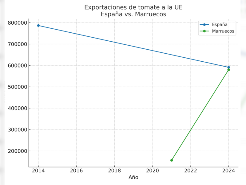 Las exportaciones de tomate de España a la UE han caído en la última década —de casi 787.000 toneladas en 2014 a poco más de 591.000 en 2024—, mientras que Marruecos ha disparado sus ventas, pasando de 156.000 toneladas en 2021 a 580.000 en 2024. Fuente: DataComex y Junta de Andalucía.