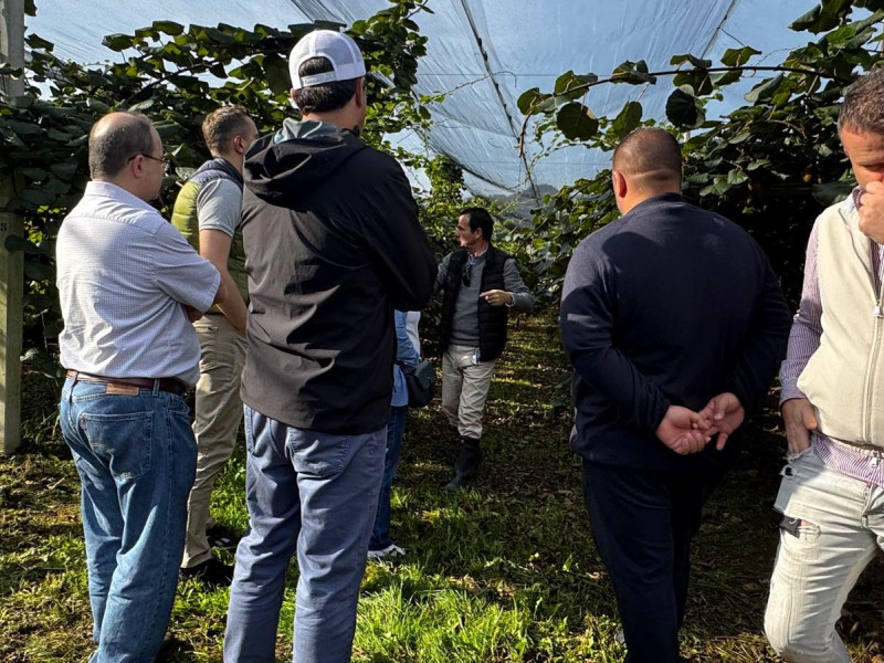 Empresarios de Canadá visitando una platación de arándanos