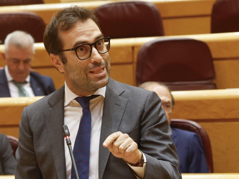 El ministro de Economía, Carlos Cuerpo, en el Senado