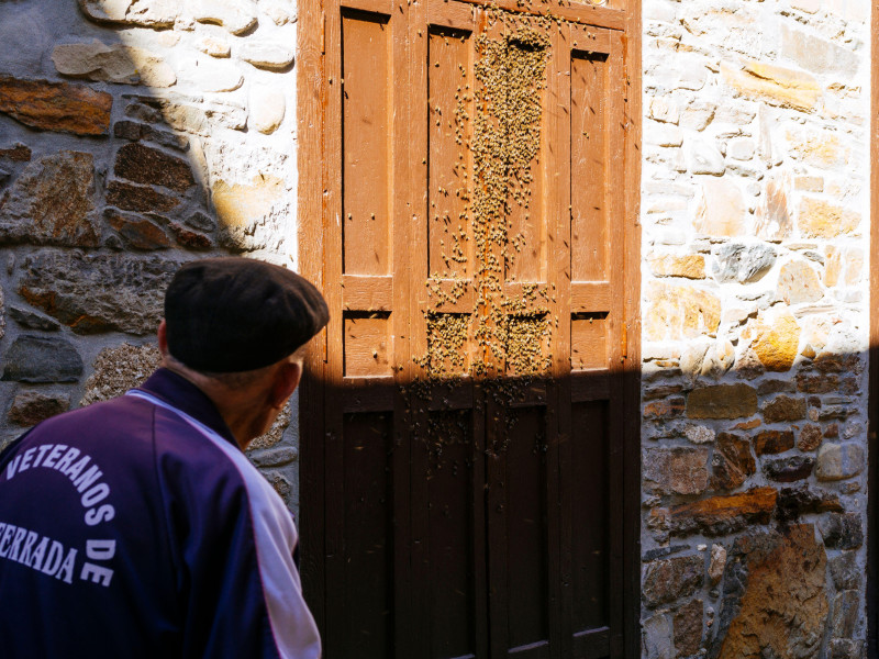 Hombre observando cómo las abejas comienzan a enjambrar en una casa