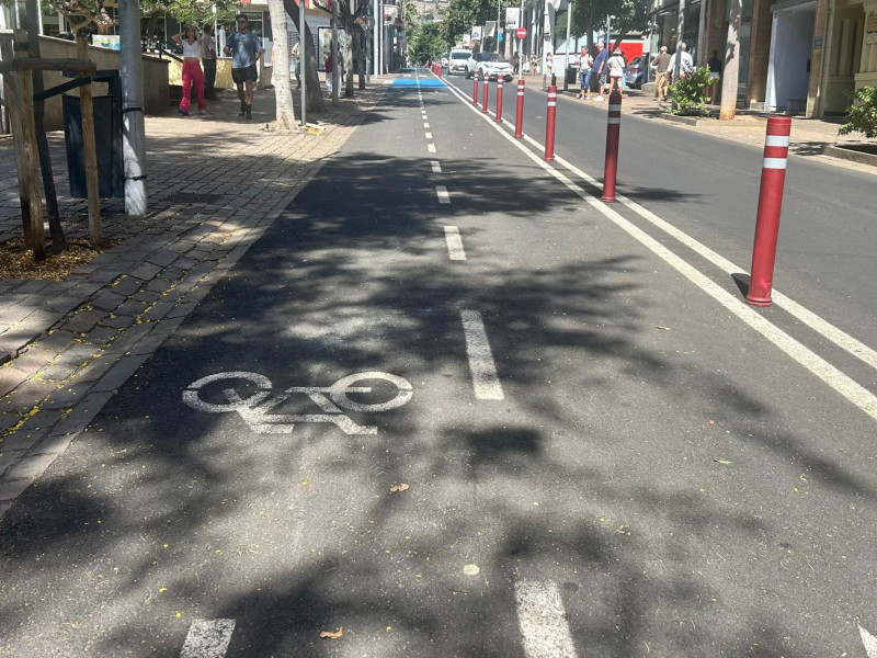 Carril Bici calle del Pilar
