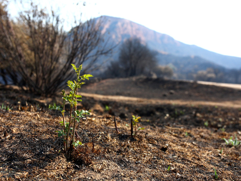 Efectos del incendio iniciado en la localidad de Yeres (León), y que ha afectado al paraje de Las Médulas
