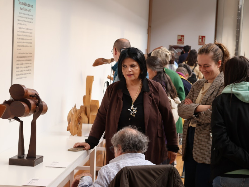 A mostra representa a idea de repoñerse