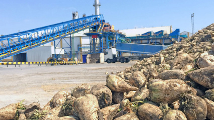 Azucarera del Guadalete