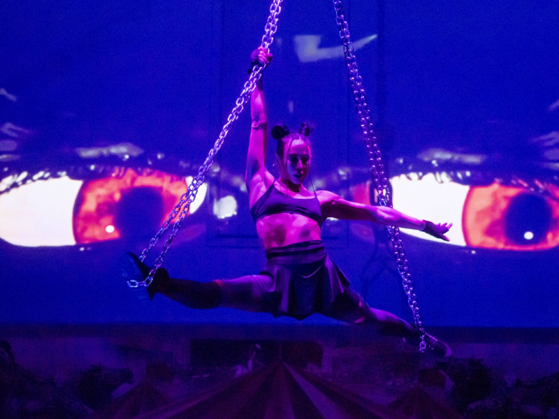 Circo