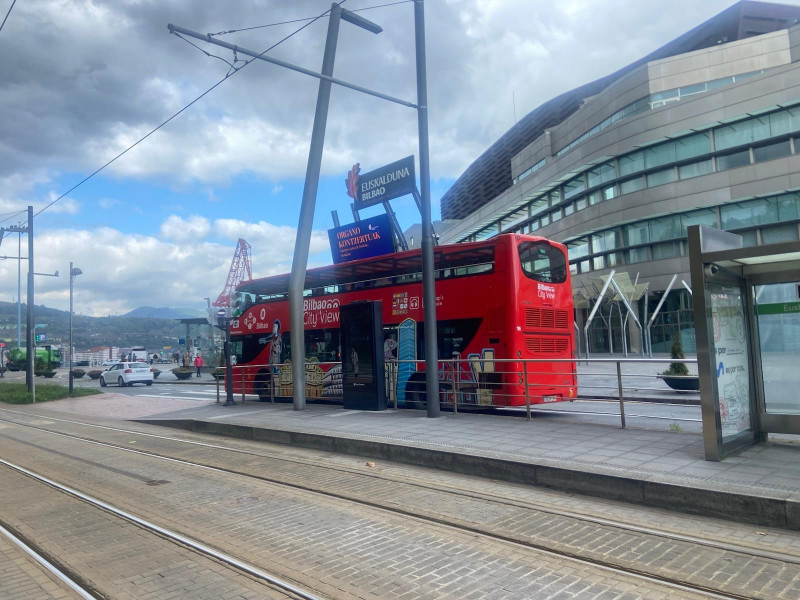 Bilbao City View