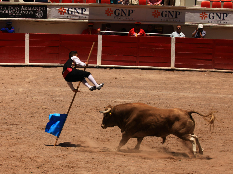 Acrobacias en la plaza de toros