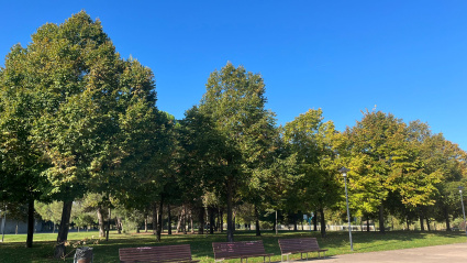 Los vecinos de Logroño responden: ¿Hay suficientes zonas verdes en la capital riojana?