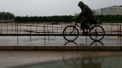 Un ciclista pedalea bajo la lluvia en Almussafes