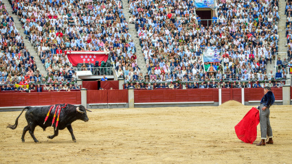 César Rincón citando de largo al novillo de Garcigrande que lidió en Las Ventas