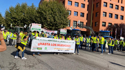 El campo de Burgos exige a la Junta flexibilidad, ayudas y protección para evitar la ruina
