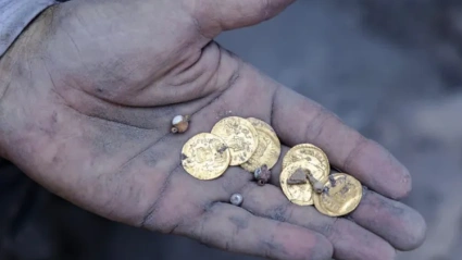 Las monedas del tesoro
