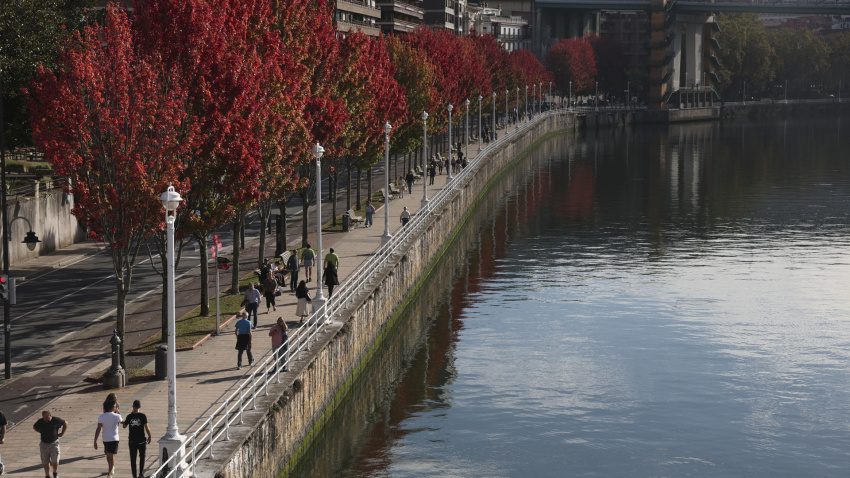 Los árboles con hoja de otoño este lunes junto a la ria de Bilbao