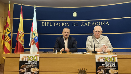 Presentación de las jornadas de este año en la DPZ.
