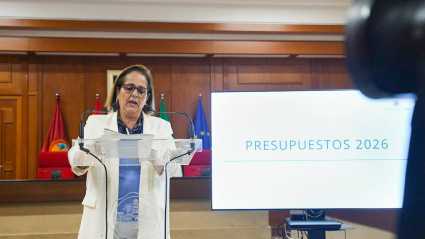 Blanca Torrent, delegada de Economía y Hacienda