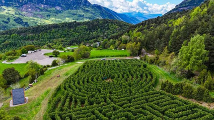 El Laberinto de los Pirineos