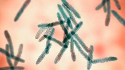 Mycobacterium ulcerans, ilustración 3D. Agente causal de la úlcera de Buruli, una enfermedad crónica debilitante que afecta la piel y el tejido subcutáneo.