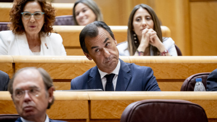 El senador del PP Fernando Martínez-Maíllo