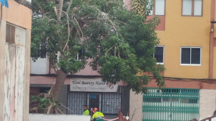 Los vecinos piden más atención municipal