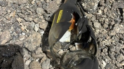 coctel-molotov-guardia-civil-fuerteventura-1024x598