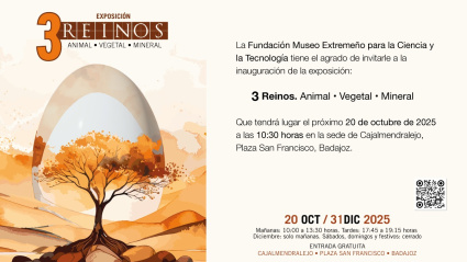 Cartel del evento