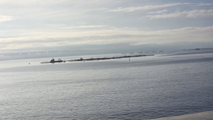 Jaulas marinas en Melenara
