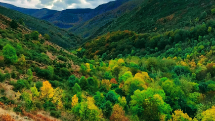 El pueblo que La ONU pone entre los mejores del mundo para visitar y que en otoño parece sacado de un cuento