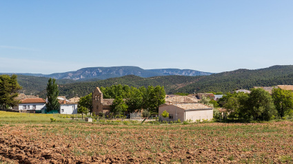 Arandilla del Arroyo